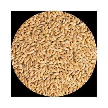 ALPISTE PET CUP 850GR