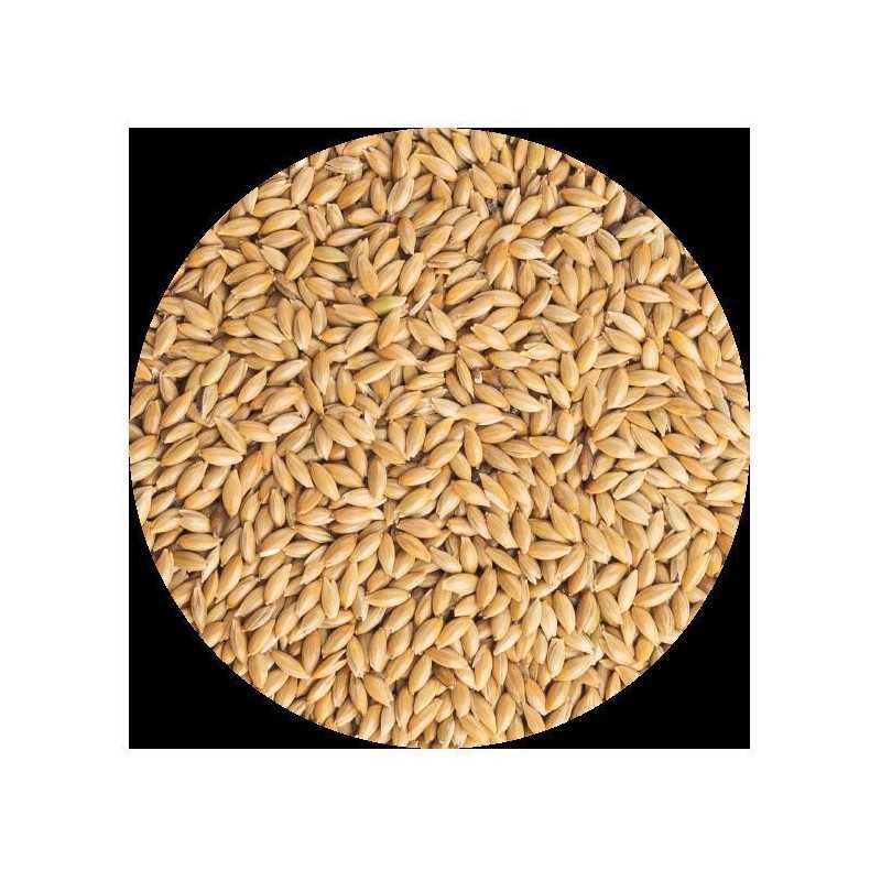 ALPISTE PET CUP 850GR ALPISTE PET CUP 850GR