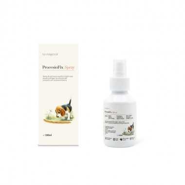 PROCESIOFIX 100ML